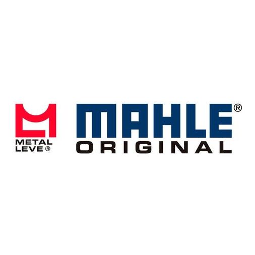 Mahle Metal Leve